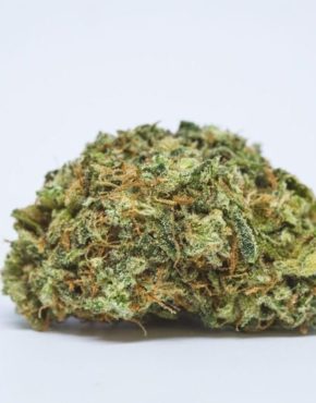 Because of a good know internet site like Order weed online post thumbnail image