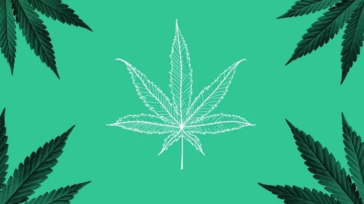 The Marketing Concern Connected With A Cannabis Organization post thumbnail image