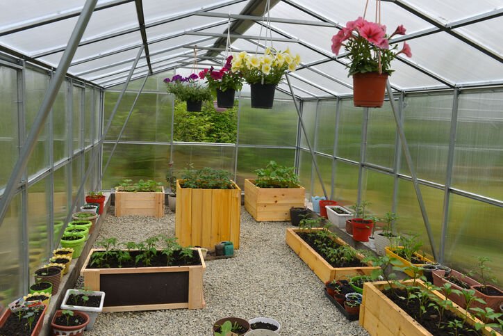 The Many Benefits Of Owning A Greenhouse post thumbnail image