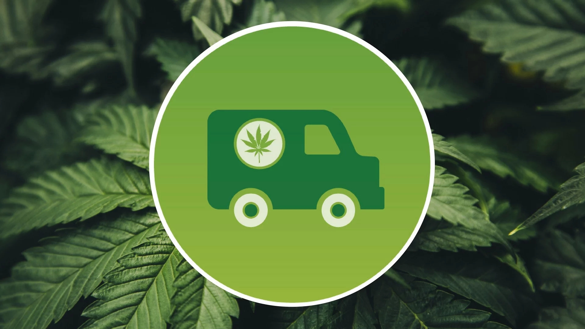 Getting weed delivered? Read this first! post thumbnail image