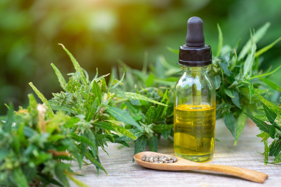 Why You Should or Shouldn’t Buy Cheap CBD Oil post thumbnail image