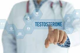 Learning How hcg and Testosterone Work Together post thumbnail image