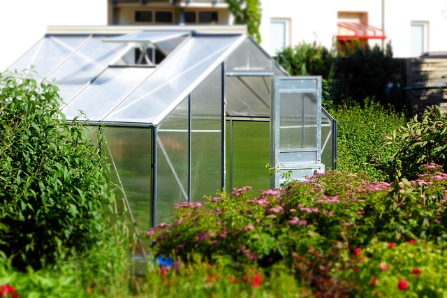 Garden Nurturers: Exploring the Greenhouse Advantage post thumbnail image